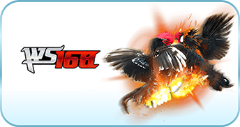 WS 168